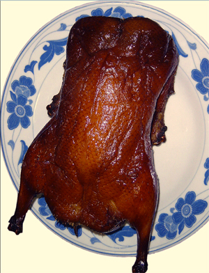 duck