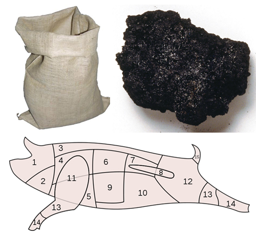 coalpig