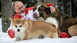 putin_dogs