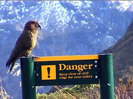 danger